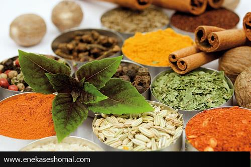 فاصله میان تولید و مصرف غذا کاهش یابد